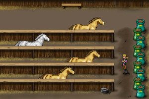 Jeu pour nourrir tes chevaux